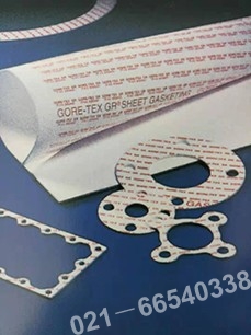 BURGMAN磁力結構密封